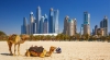 Dịch vụ xin visa du lịch Dubai