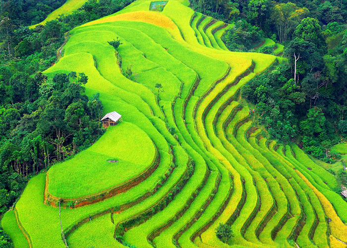 MAI CHÂU - MỘC CHÂU - ĐIỆN BIÊN - LAI CHÂU -   SƠN LA