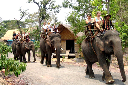 HÀ NỘI - ĐÀ LẠT - BUÔN MÊ THUỘT - PLEIKU